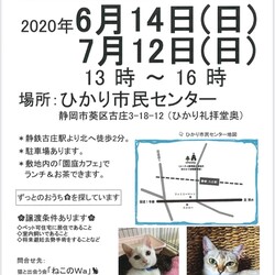 ねこのWa猫譲渡会