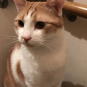 の写真