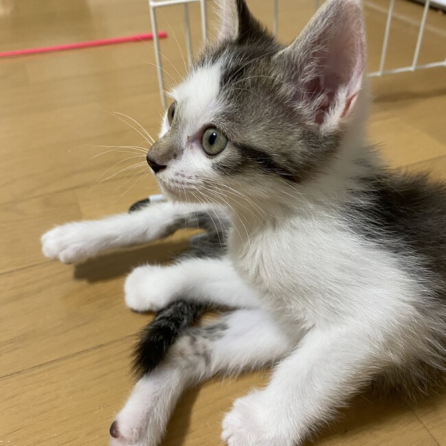 もみじ❤︎のカバー写真