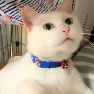 ゆるゆるおおらか✨人が大好きな甘えん坊男子