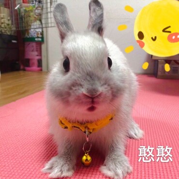 の写真