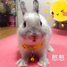 の写真