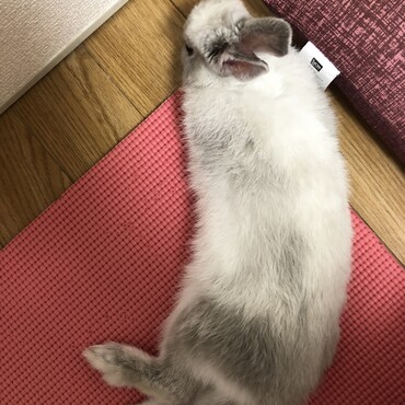 の写真