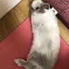 の写真
