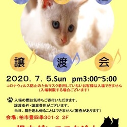 7/5(日)柏市DE保護猫譲渡会
