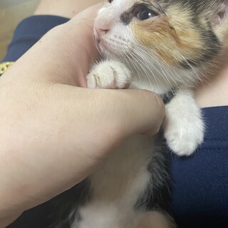里親探しています！