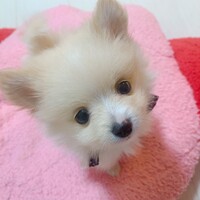 つな
