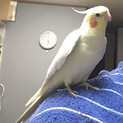 【沢山連絡いただいている為一旦募集終了いたします】