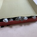 ジャンガリアンハムスター里親募集