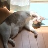 最高の日向ぼっこ