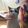 シャクレてみました