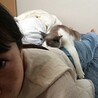 亀の甲羅干し？