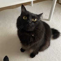 もか