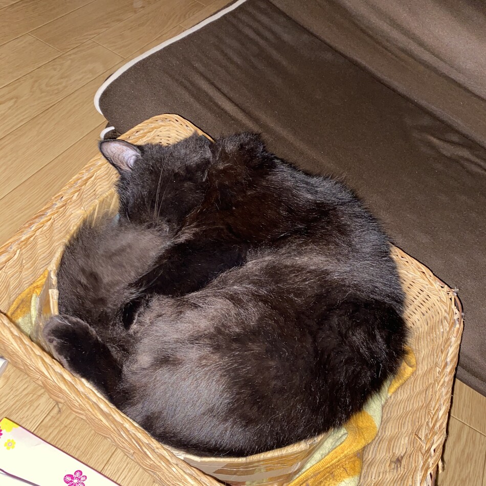 もかのカバー写真