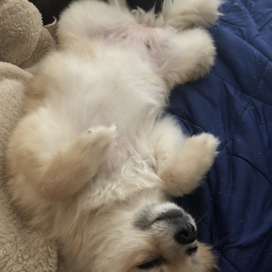 るなのカバー写真