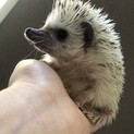 現在お話中。12月生まれの男の子