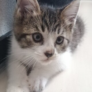 元気いっぱいです