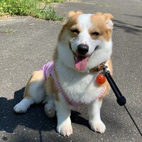 らむね