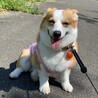 らむね