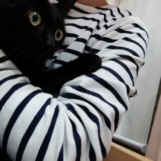 まんまるお目目のカワイイうめちゃん