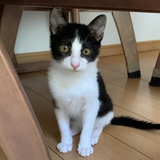 募集を一旦停止。人も遊ぶのも大好き元気ボーイ！