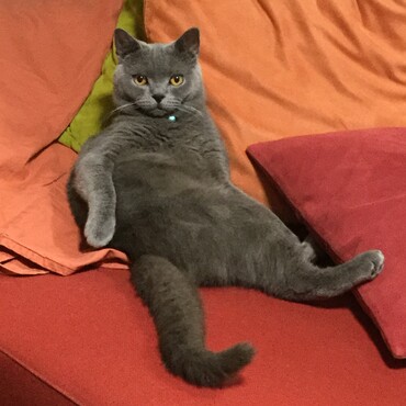 の写真