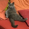 の写真