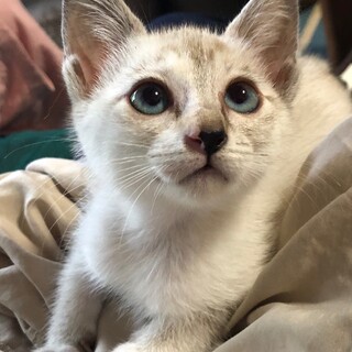 抱っこが大好き❤チュッパチュッパ大好き❤