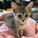 お膝が大好き❤