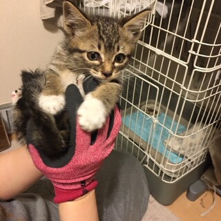 甘えん坊の男の子♡