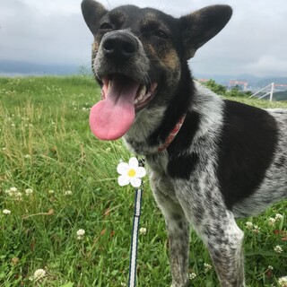 ちょっとビビリだけど甘えん坊な1歳の女の子