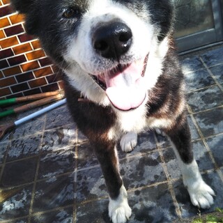 ありがとうございました