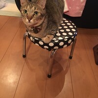 ふう