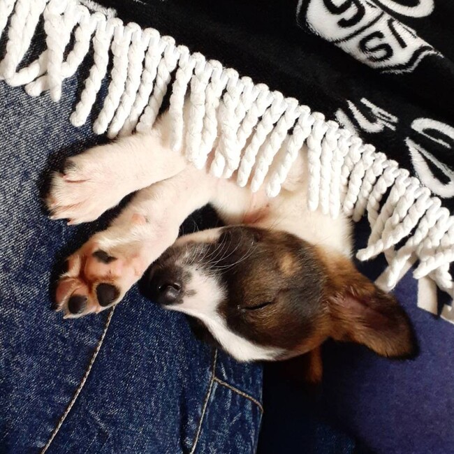 nmry-mamaのカバー写真