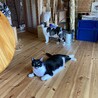 リビングのふたり