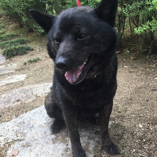 人馴れしてます！梅之助君