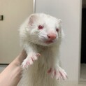 可愛い男の子