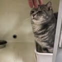 見えてはいますが。