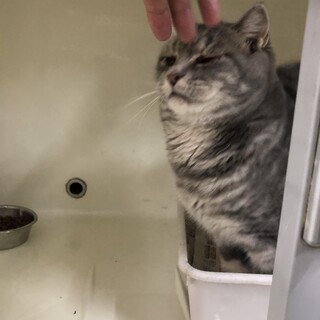 見えてはいますが。