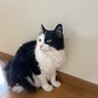 ベイビーちゃん
