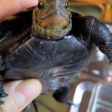 毎日、温浴をしていました。