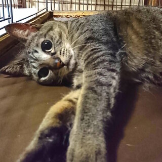 ☆素敵な家族ができました☆