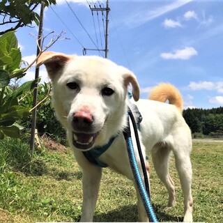 ご飯大好き！ひとが大好き！元気なうたすけくん♪