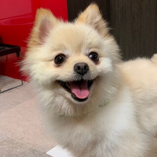 陽気で甘えん坊さん☆笑顔も愛らしい　ゆうちゃん♪