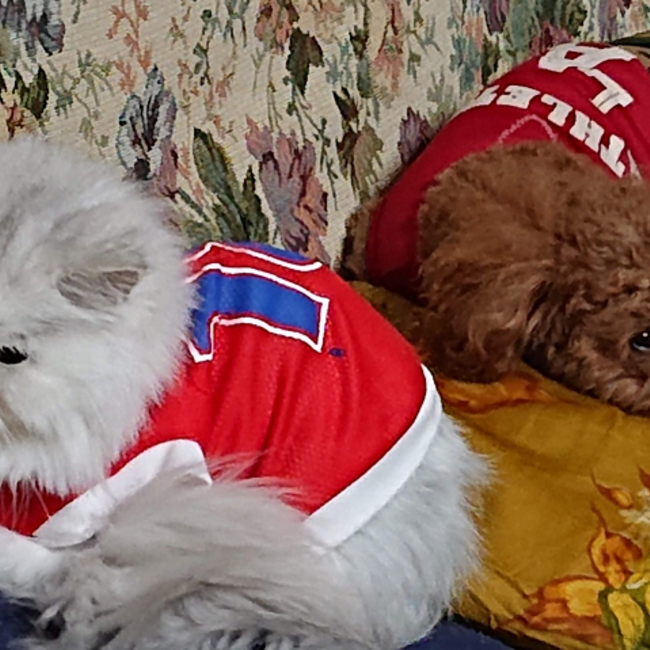 ぴざまりおのカバー写真