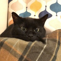 がじゅ丸