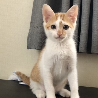 素敵なご縁がありました