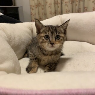 ありがとうございました★可愛い　ゆづきちゃん