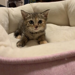 ありがとうございました★可愛い　みつきちゃん