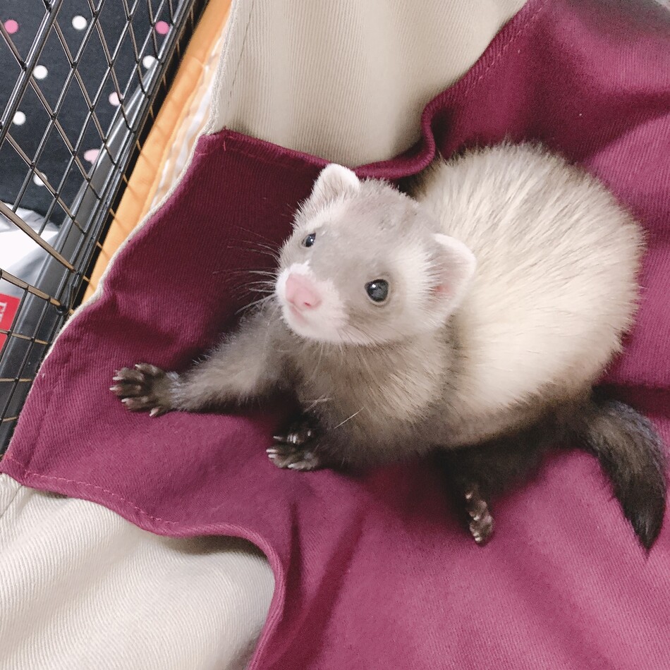 ひめのカバー写真